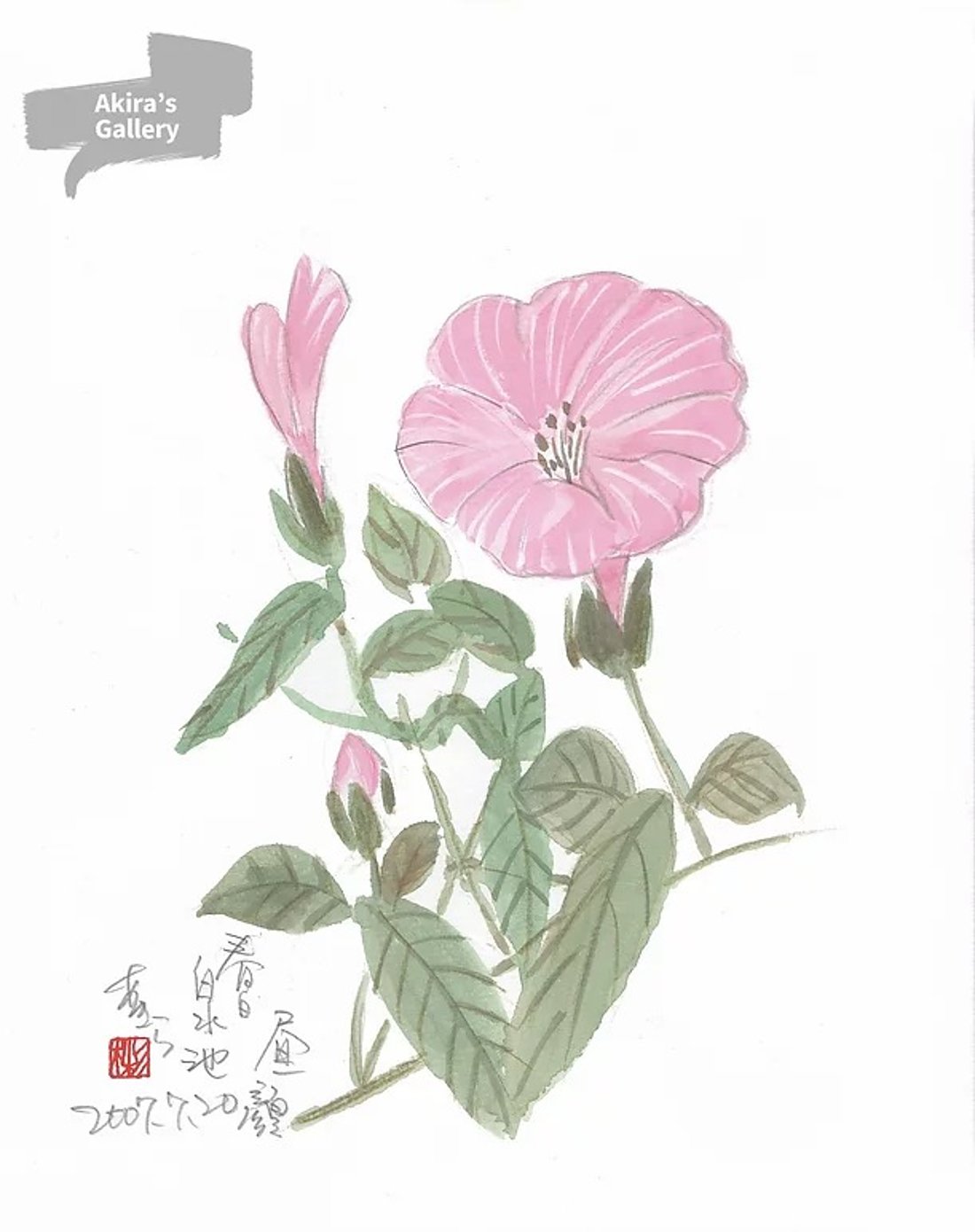 89 春日の昼顔