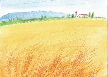 57 北海道麦畑風景のイメージ