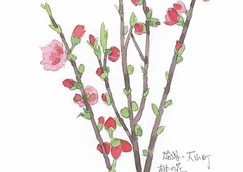 35 大山の桃の花のイメージ