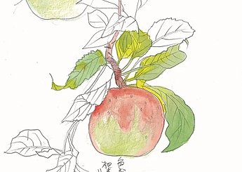 34 杷木のりんご園のイメージ