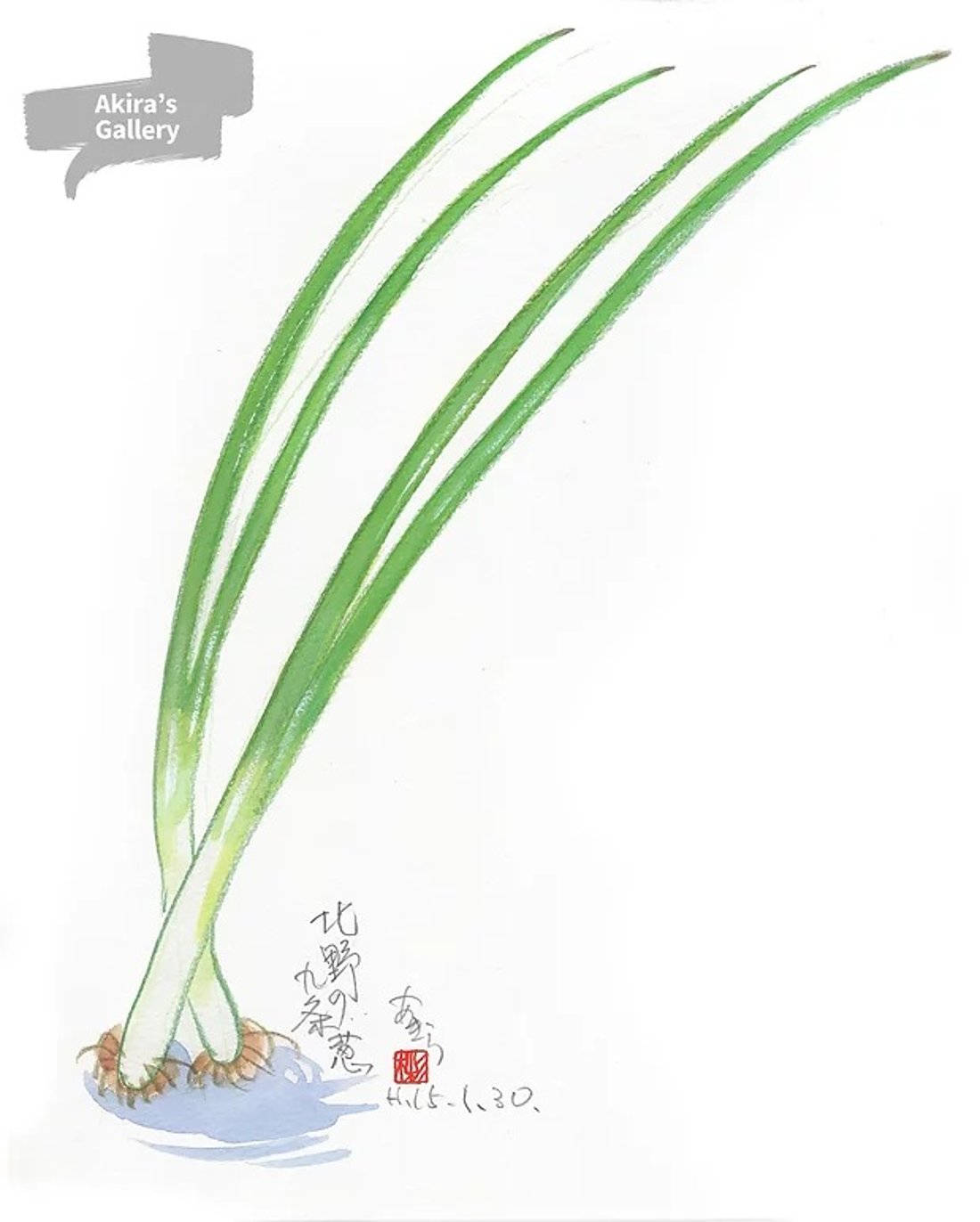 30 北野の九条葱
