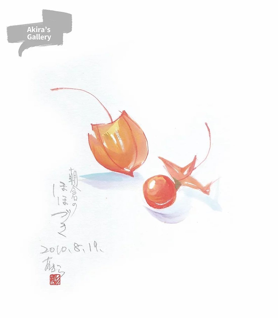 29 朝倉のほほづき