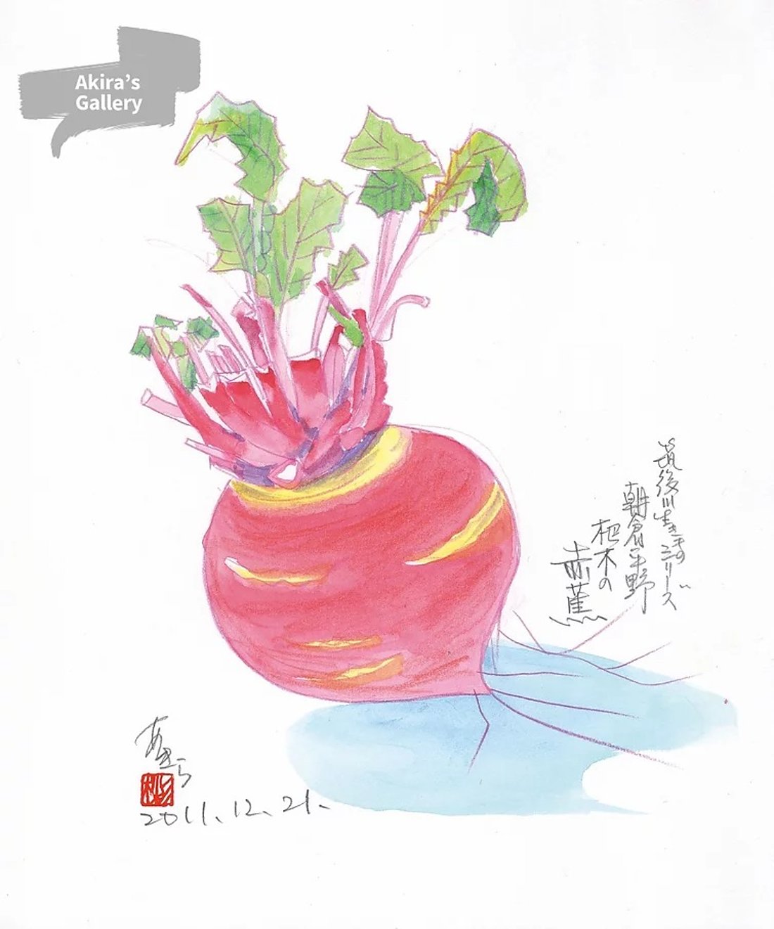 20 朝倉平野 杷木の赤蕪