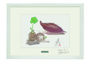 A-10 糸島産さつま芋と里芋のイメージ